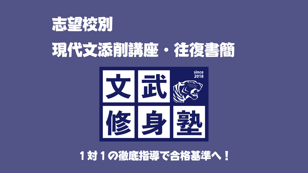 よし確認画像Zstudy難関国公立＆一橋大学 添削問題・解答解説編約1年分 よし様専用確認画像Zstudy難関国公立＆一橋大学 添削問題・解答解説